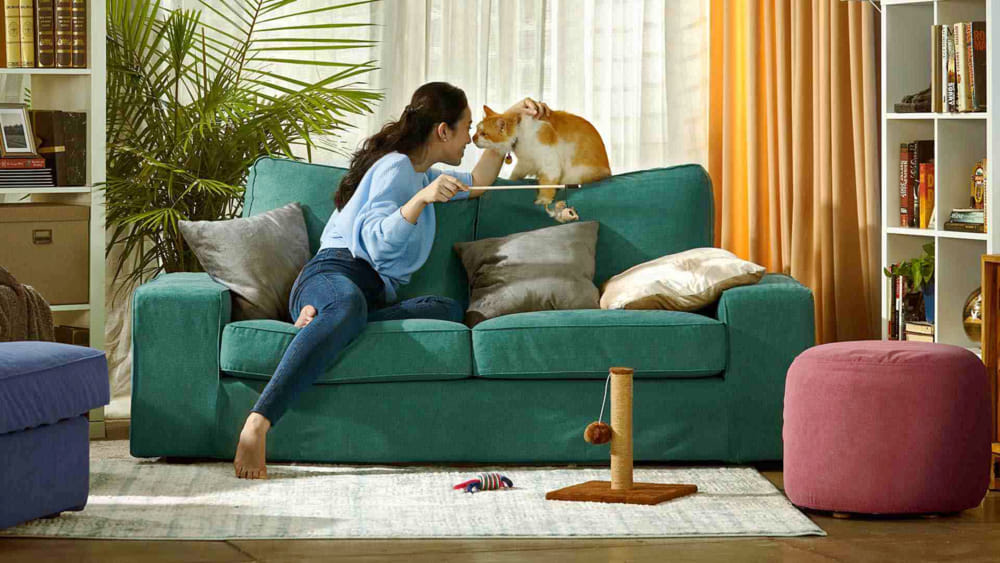 what type of sofa is best for cats